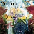 Ione Citrin -  - Acrylics