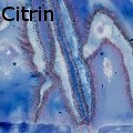 Ione Citrin -  - Water Color