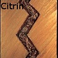 Ione Citrin -  - Sculpture