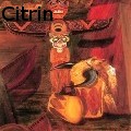 Ione Citrin -  - Acrylics