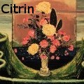 Ione Citrin -  - Oil Painting