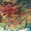 Ione Citrin -  - Water Color