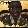 Ione Citrin -  - Drawings