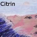 Ione Citrin - Pink Sand Beach  - Water Color