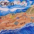 Ione Citrin - Beachin'  - None