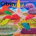 Ione Citrin -  Farmer's Market  - Water Color