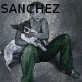 JUAN ANTONIO SANCHEZ - Inseperable companions - Acrylics