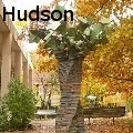 Jon  Barlow Hudson - TREE OF KNOWLEDGE - Sculpture