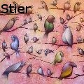 Karsten Stier - bird song - Paintings