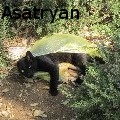 Levon Gegham Asatryan - Rest - Photography