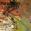 Lianne Harrison - White Sand Sunset - Acrylics
