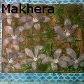 Lisema Makhera - Maluti Flora - Paintings
