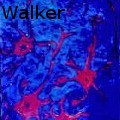 Lois V Walker - Neurons:A Fiction - Oil Painting