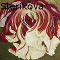 Luba Sterikova -  - Oil Painting