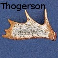 Mark Thogerson - Voyageur cribbage board - Mixed Media