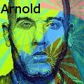 Michael Arnold -  - Paintings