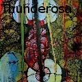Michael Thunderosa - fossils - Paintings