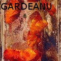 NELU NELUG GARDEANU - Poppys - Paintings