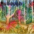 Nancy Tydings Bullough - Hidden Forest - Paintings