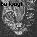Nancy Tydings Bullough - Meow! - Acrylics