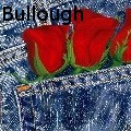 Nancy Tydings Bullough - Pocket Full of Roses - Paintings
