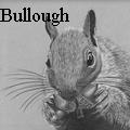 Nancy Tydings Bullough - Squirrel with Acorns - Drawings