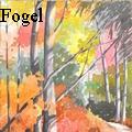 Sharyn M Fogel -  - None