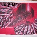 Shelbi Dyan Taylor -  - Drawings