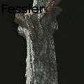 Stephen Fessler -  - Paintings