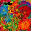 Synclaire Sibella -  - None