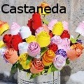 Teresa Castaneda - Recycled hand-made roses - Mixed Media