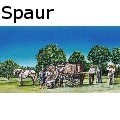 Todd A Spaur - The Earp's - Water Color