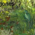 juliann jones - wetlands - Paintings