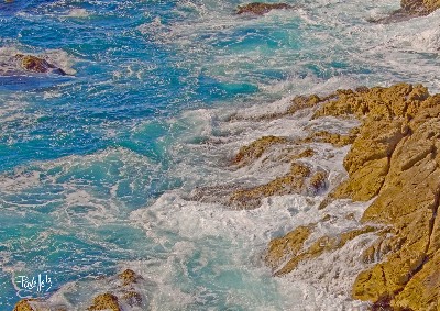 Turquoise Surf - Point Lobos, Carmel, California - Canvas Giclee