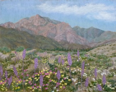 Lupine in Coyote Canyon