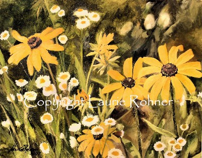 Black Eyed Susans in the Field