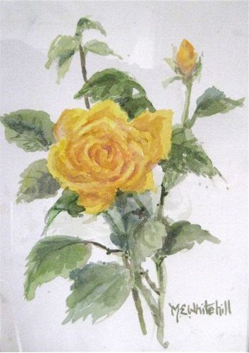 Yellow Rose