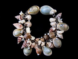 Seashells by the seashore