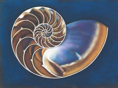 Nautilus