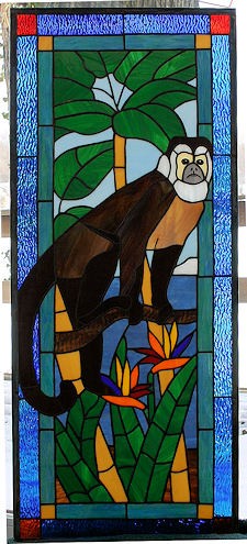 Capuchin Monkey Window