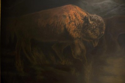 American Buffalo