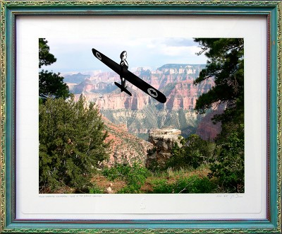 Quick Response Squadron: Vlad at the Grand Canyon