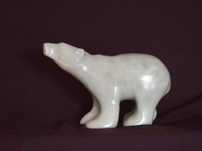 Polar Bear