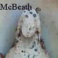 KayMcBeath