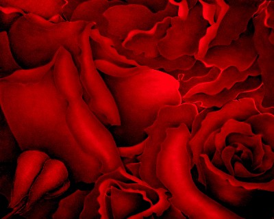 Abstract Red Rose II