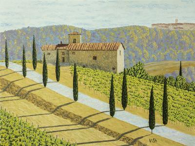 Tuscany farm and vineyards