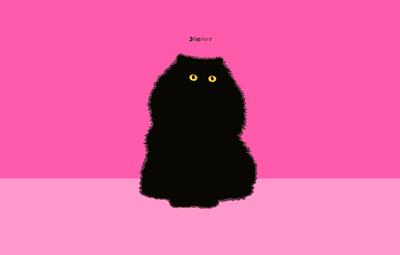 Puffy Cat on Deep Pink